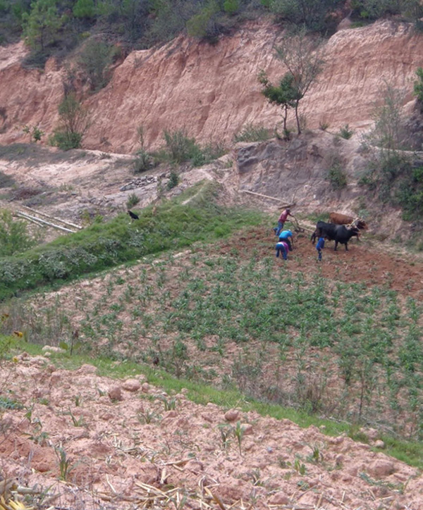 conocimiento tradicional del paisaje en comunidades indígenas mexicanas